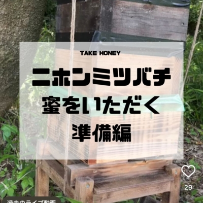 ニホンミツバチ採蜜道具セット ニホンミツバチの採蜜に使う道具 | 犬と猫